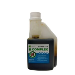 RUMINTER B-COMPLEX - Usprawnienie metabolizmu