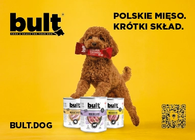 bult dog polskie karmy