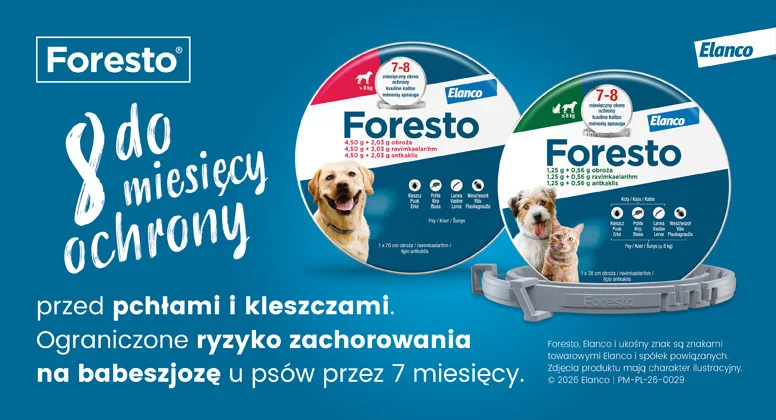 Foresto