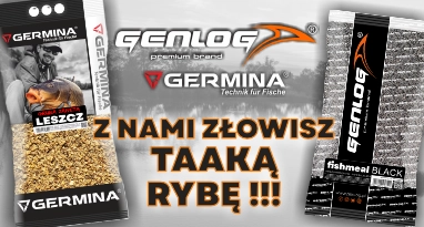 Ger
