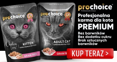 Prochoice