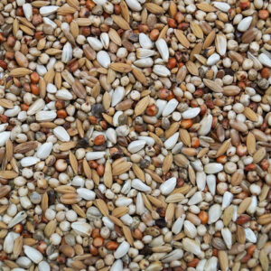 Gold Wings Super Dieta 20kg