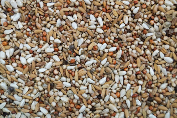 Gold Wings Super Dieta 20kg