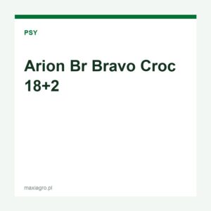 Arion br bravo croc 18