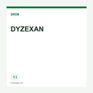 Dyzexan 1 l
