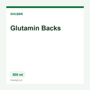 Glutamin 500ml backs
