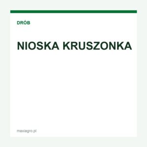 nioska-kruszonka Nioska kruszonka