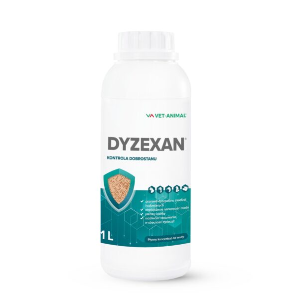 Dyzexan 1 l
