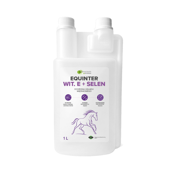 equinter-5908270258211 Equinter