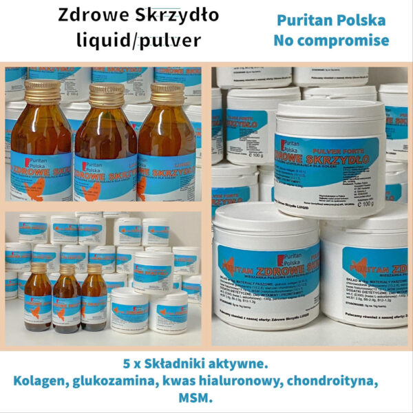 Puritan zdrowe skrzydlo forte 100g.jpg